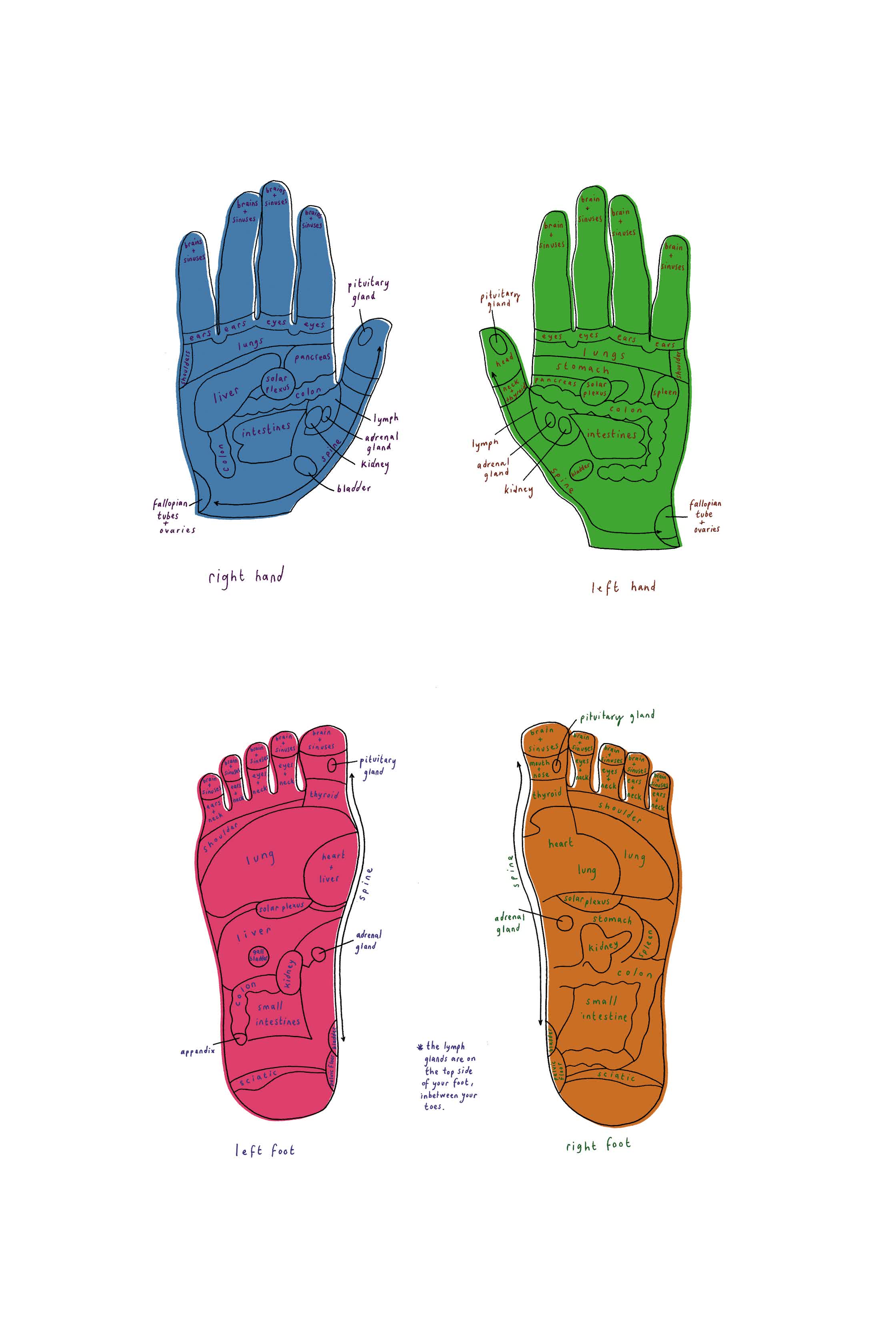 Reflexology - self initiated.jpg