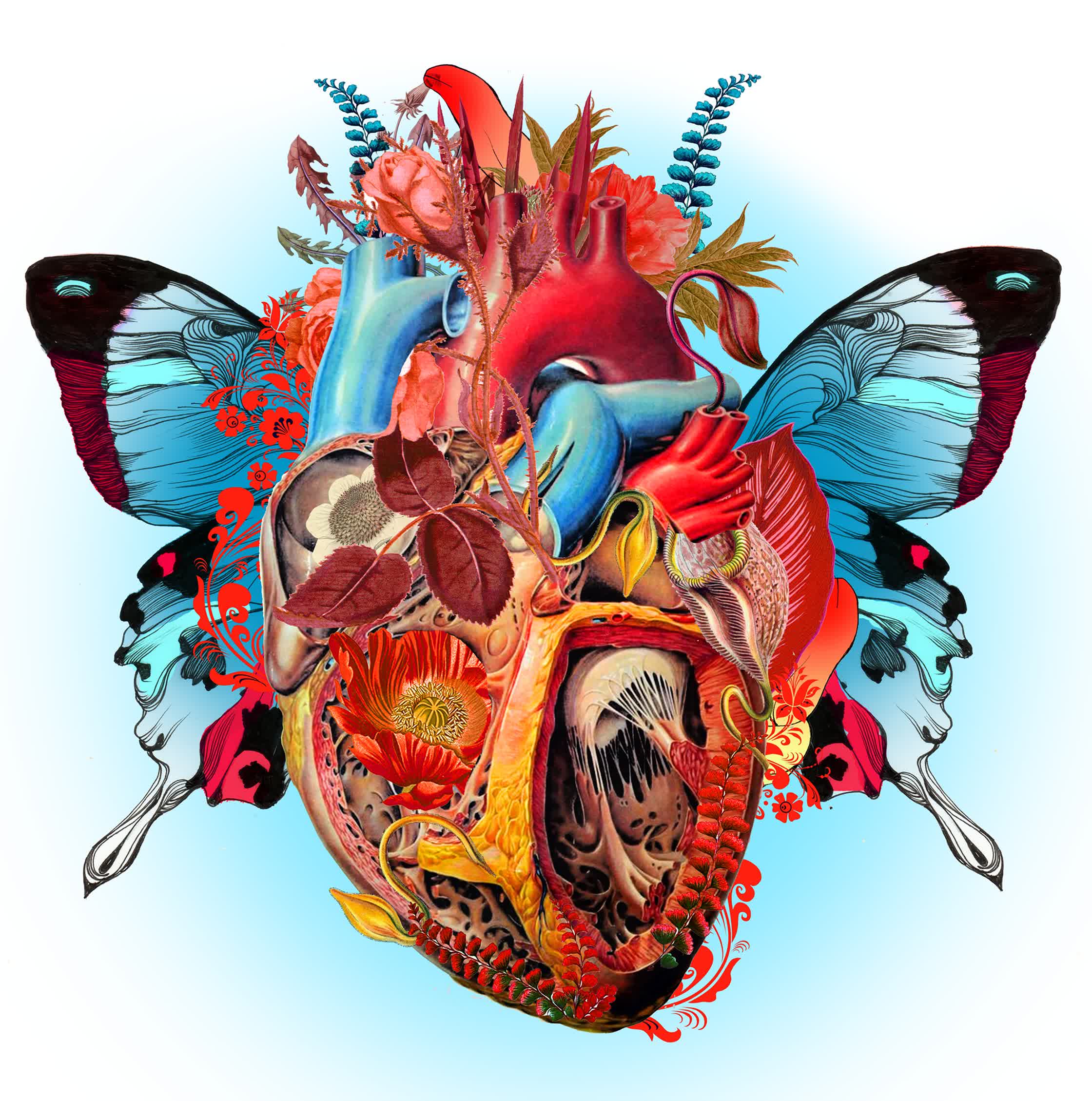 butterfly heart_personal.jpg