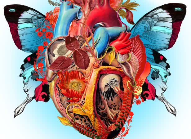 butterfly heart_personal.jpg
