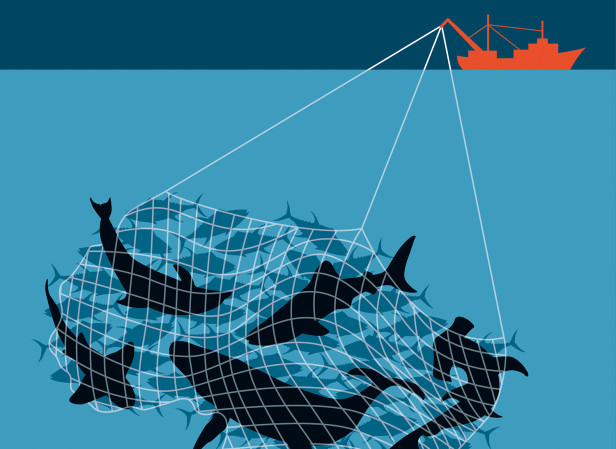 SeaShepherd_IUU.jpg