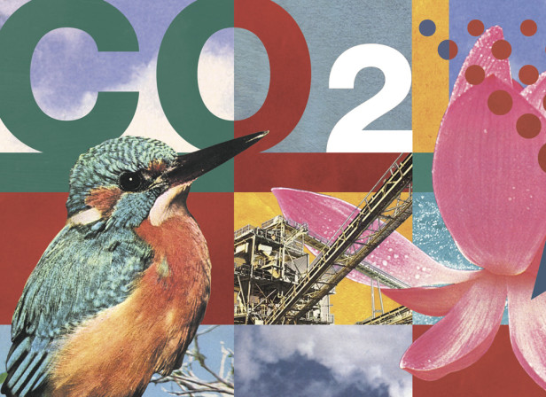 BP CO2 Emissions