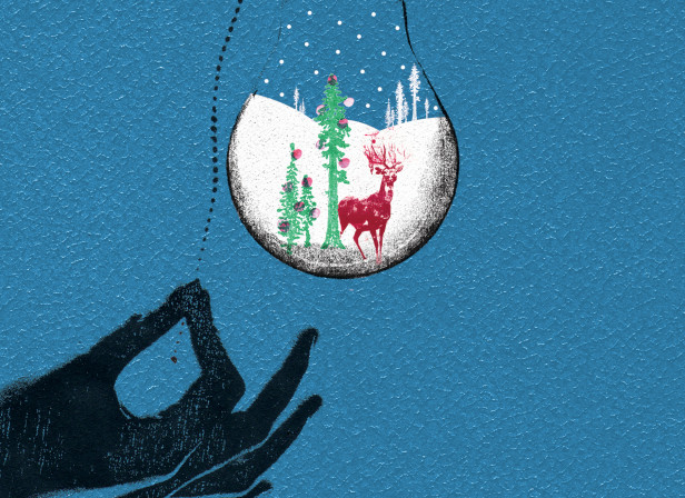 Turning On Christmas