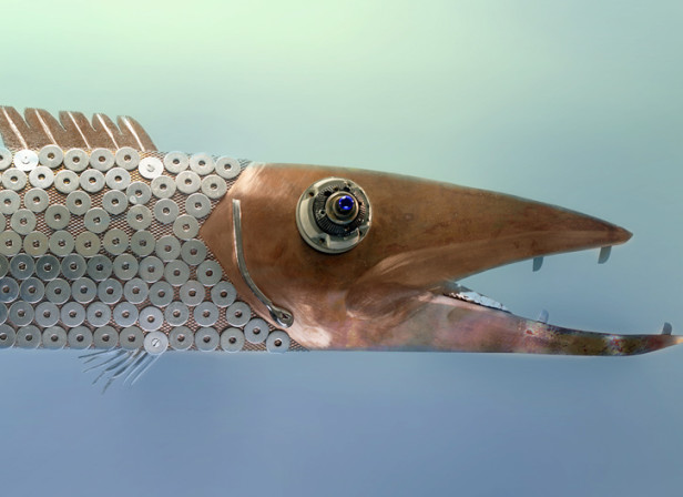 Pike Big Fish Design Ireland