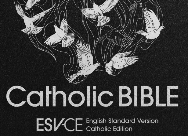 20200714 esvce 18.jpg