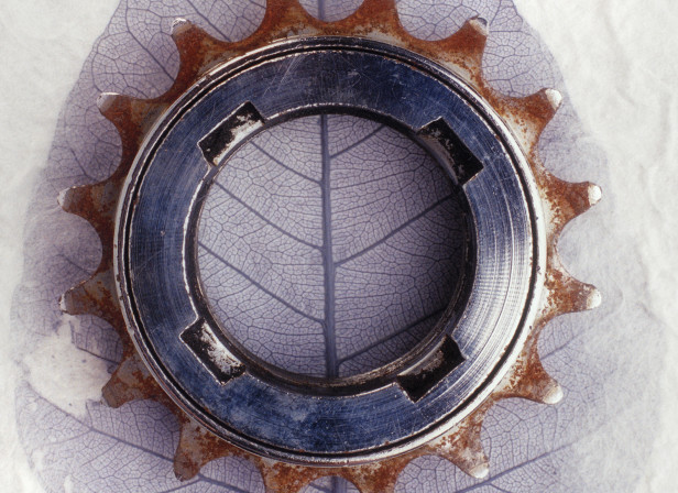 Cog and Leaf