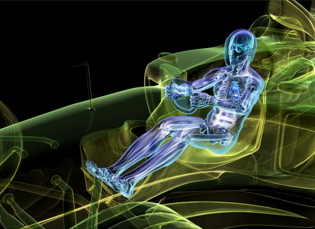 F1 Driver Anatomy