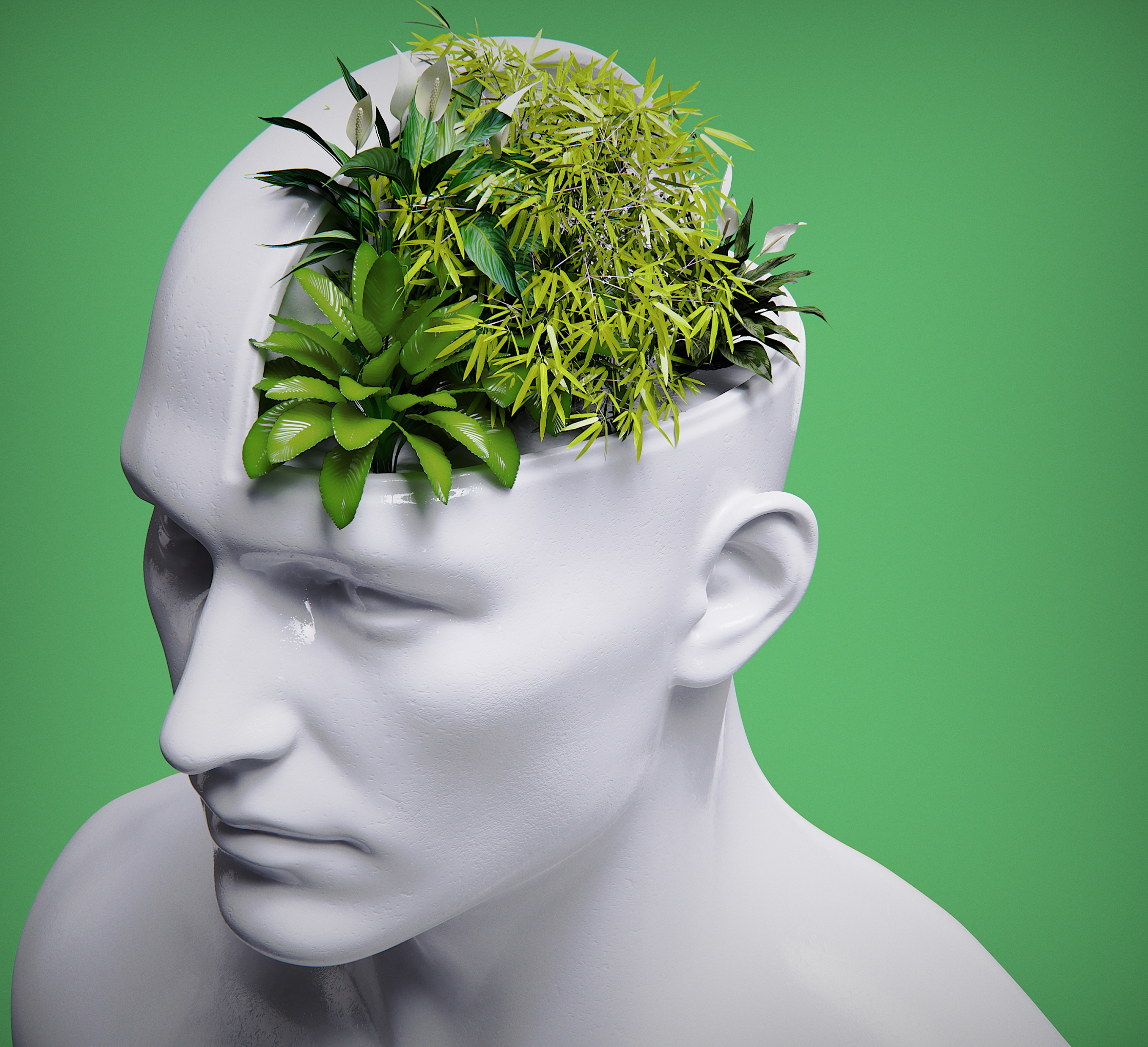 Men'sHealth_HousePlantBrain.jpg