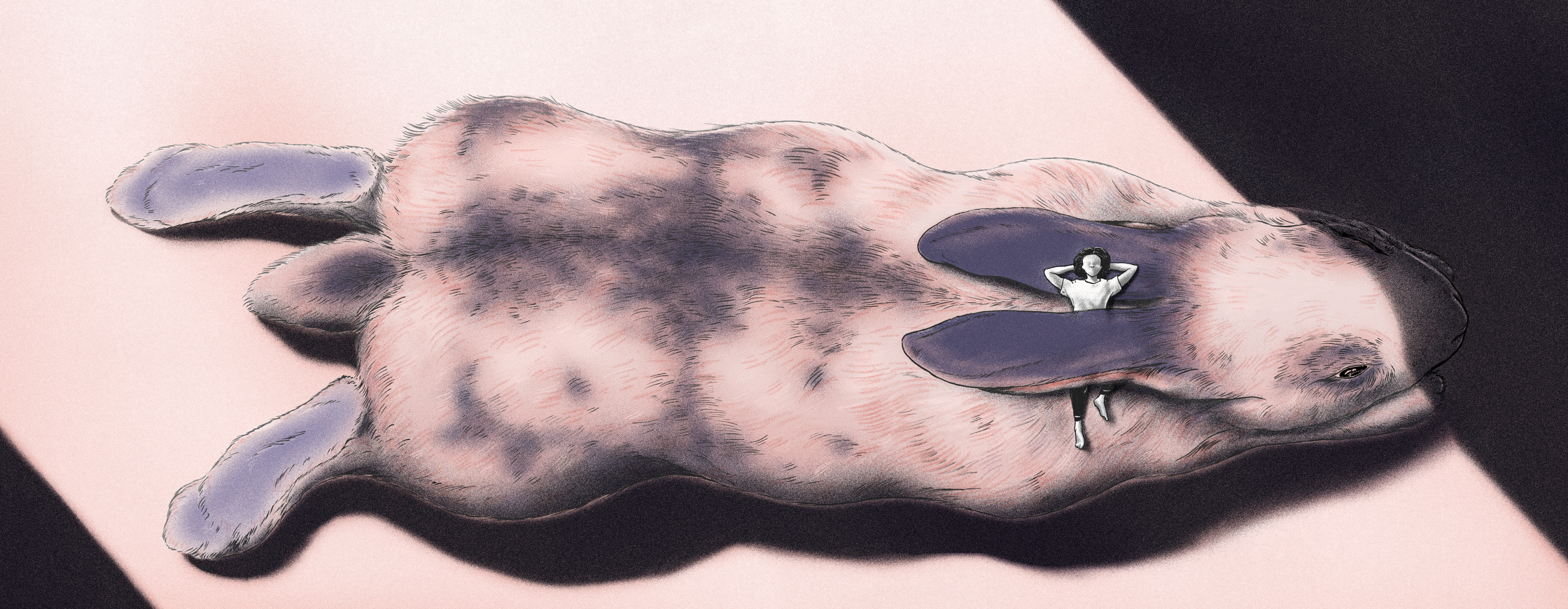 2019_Insomnia Book_rabbit.jpg