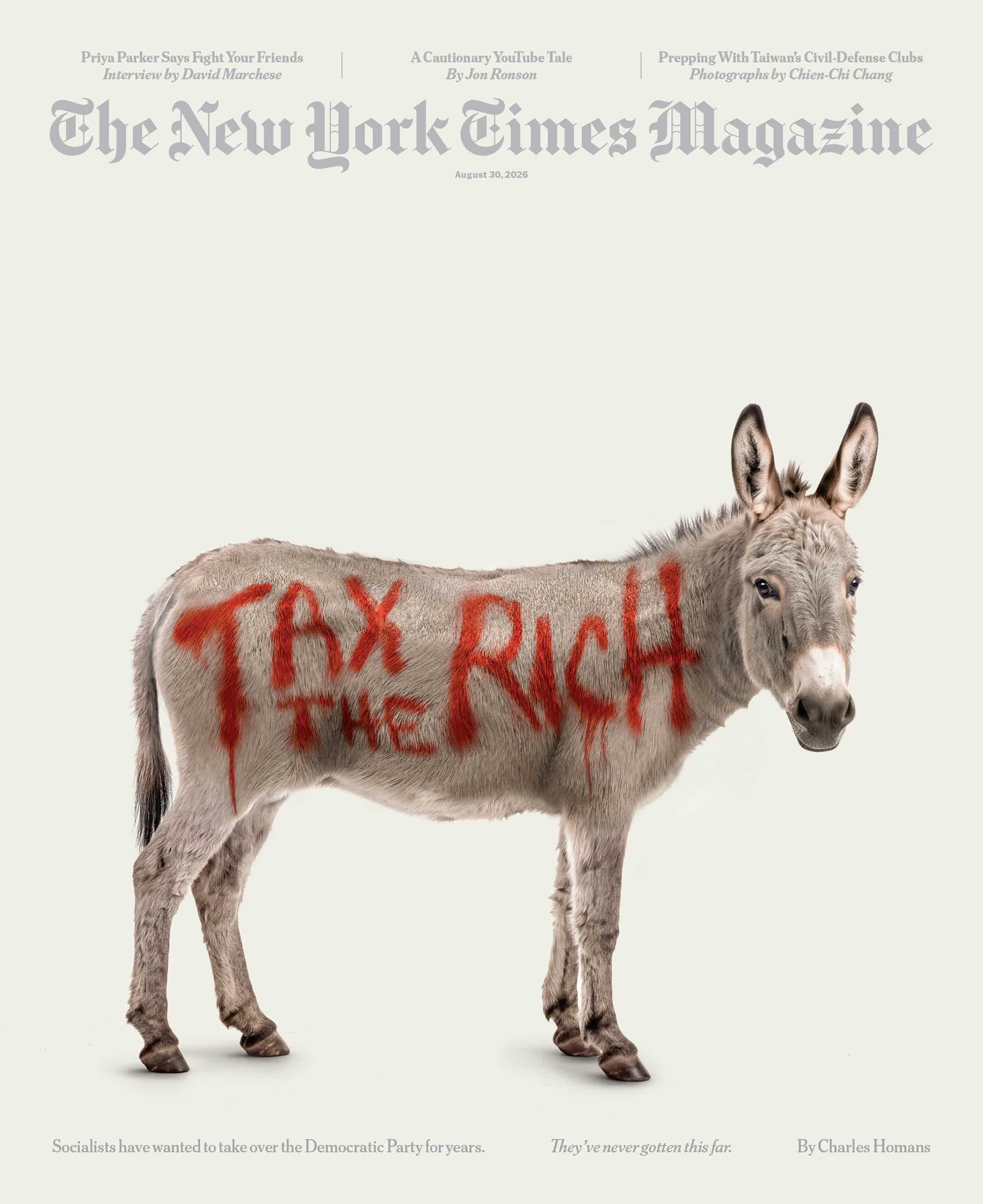 NYT cover.jpg