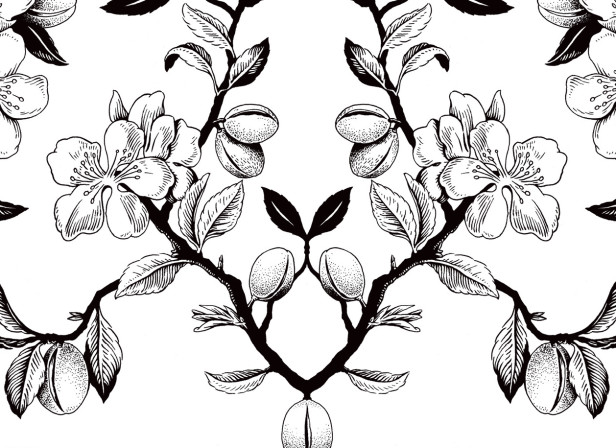 Liqueur Labels
