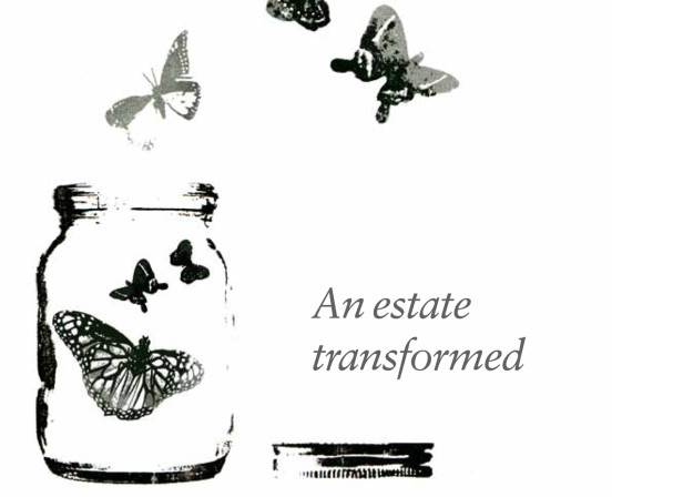 Estate / Strutt &amp; Parker