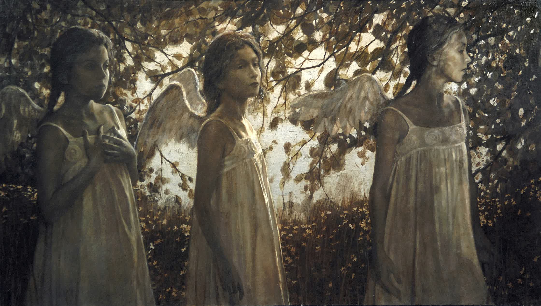 Angel Wood.jpg