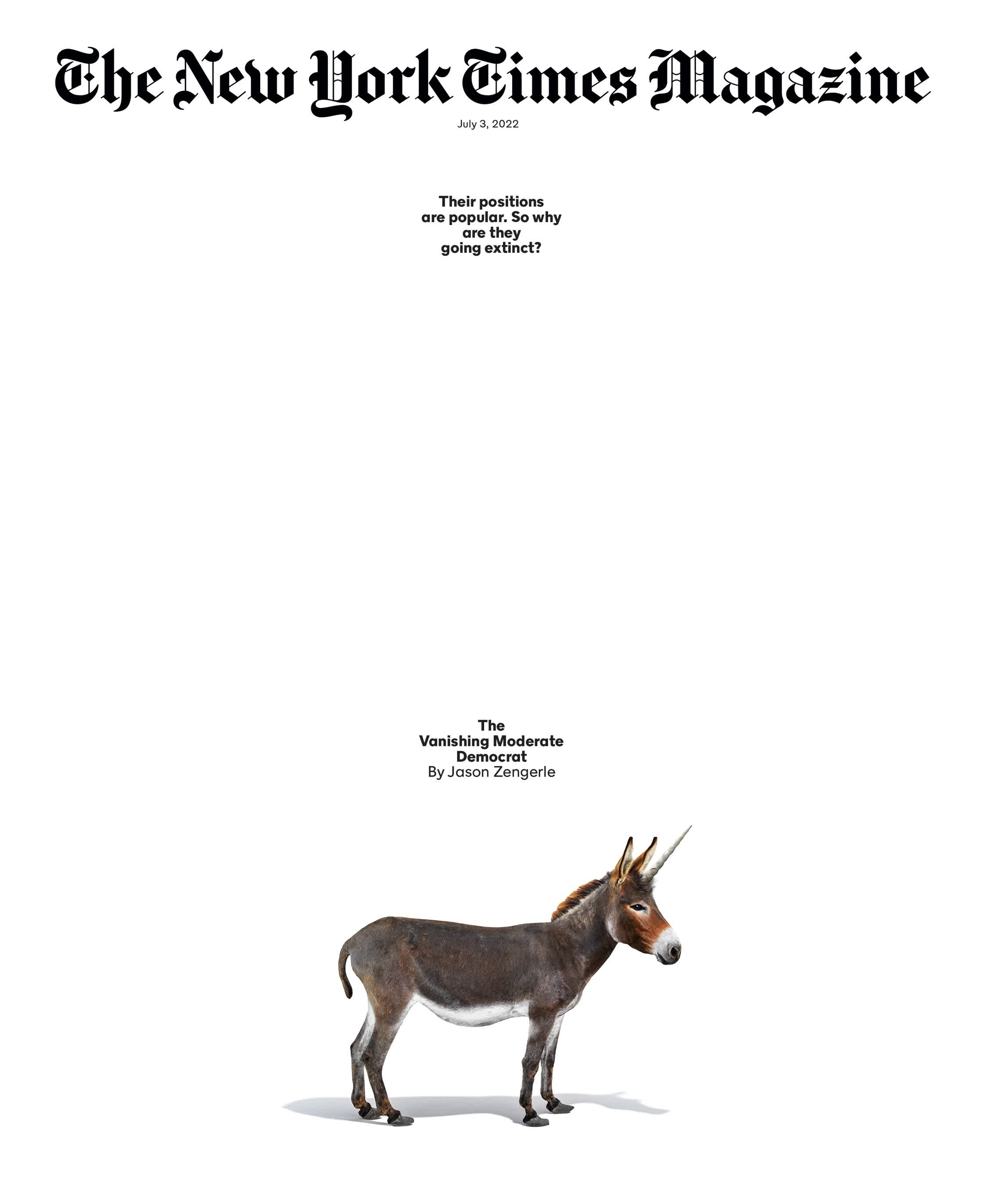 NYT_Magazine_Vanishing_Democrat.jpg