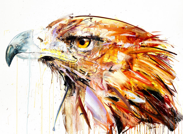 Golden Eagle