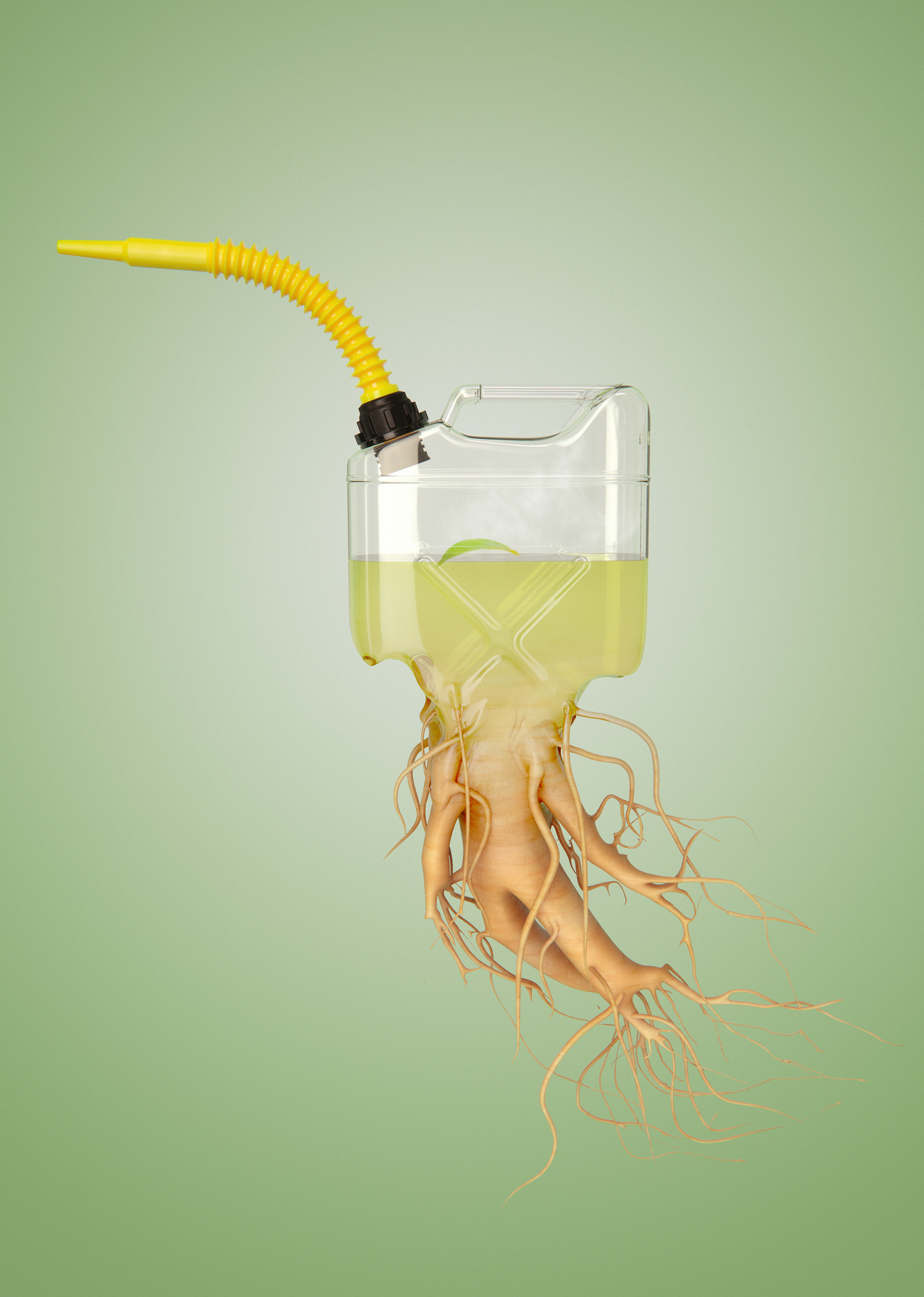 ginseng fuel high resV1-web.jpg
