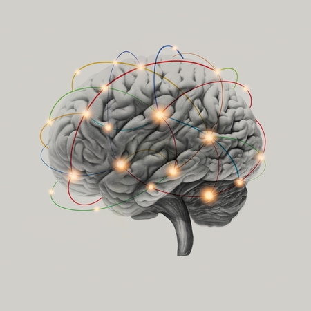 _Brain_ for Thge Philadelphia Enquirer.jpg