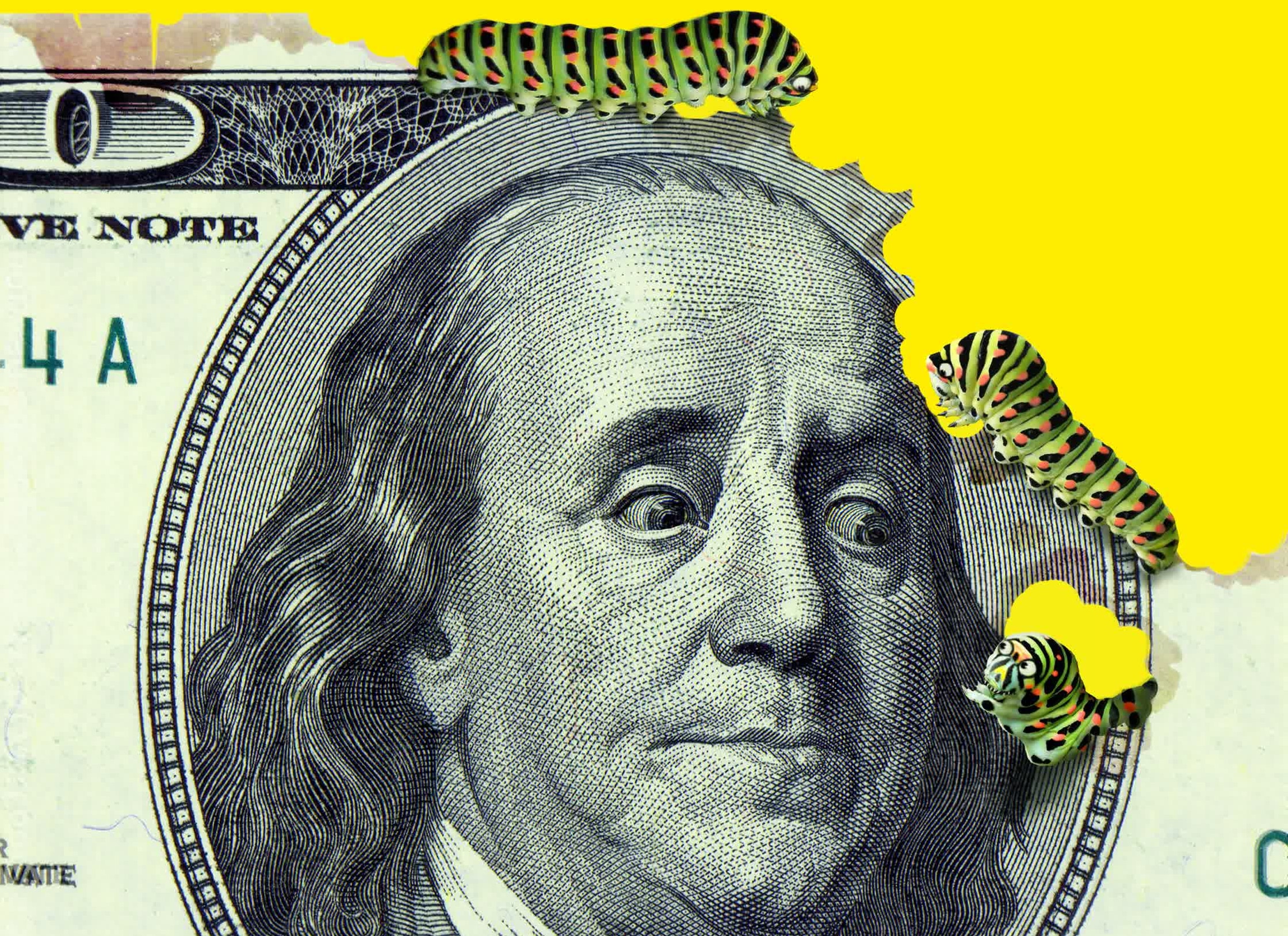 01900InflationCaterpillar.jpg