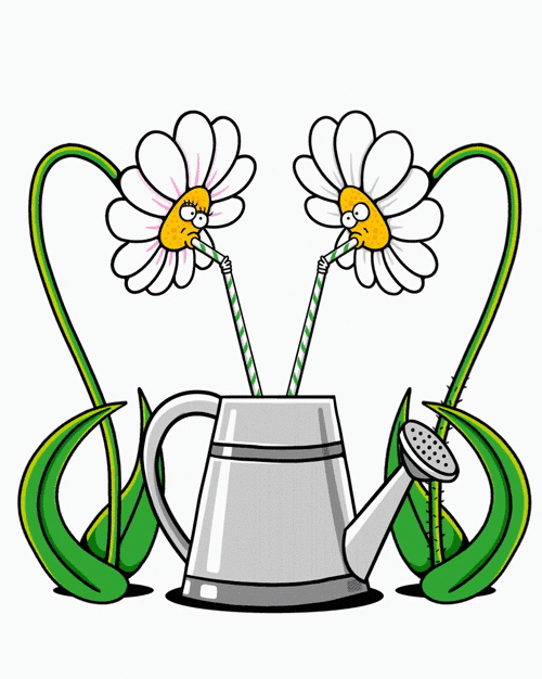 MarkWard_DeliveryDrop_FlowersShare_Final.gif