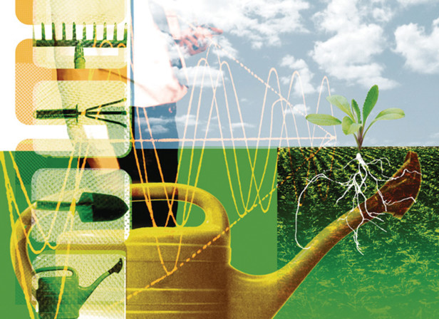 Growing Futures Green Office Ecology