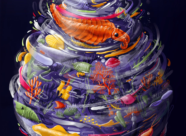 The Cambrian Explosion.jpg