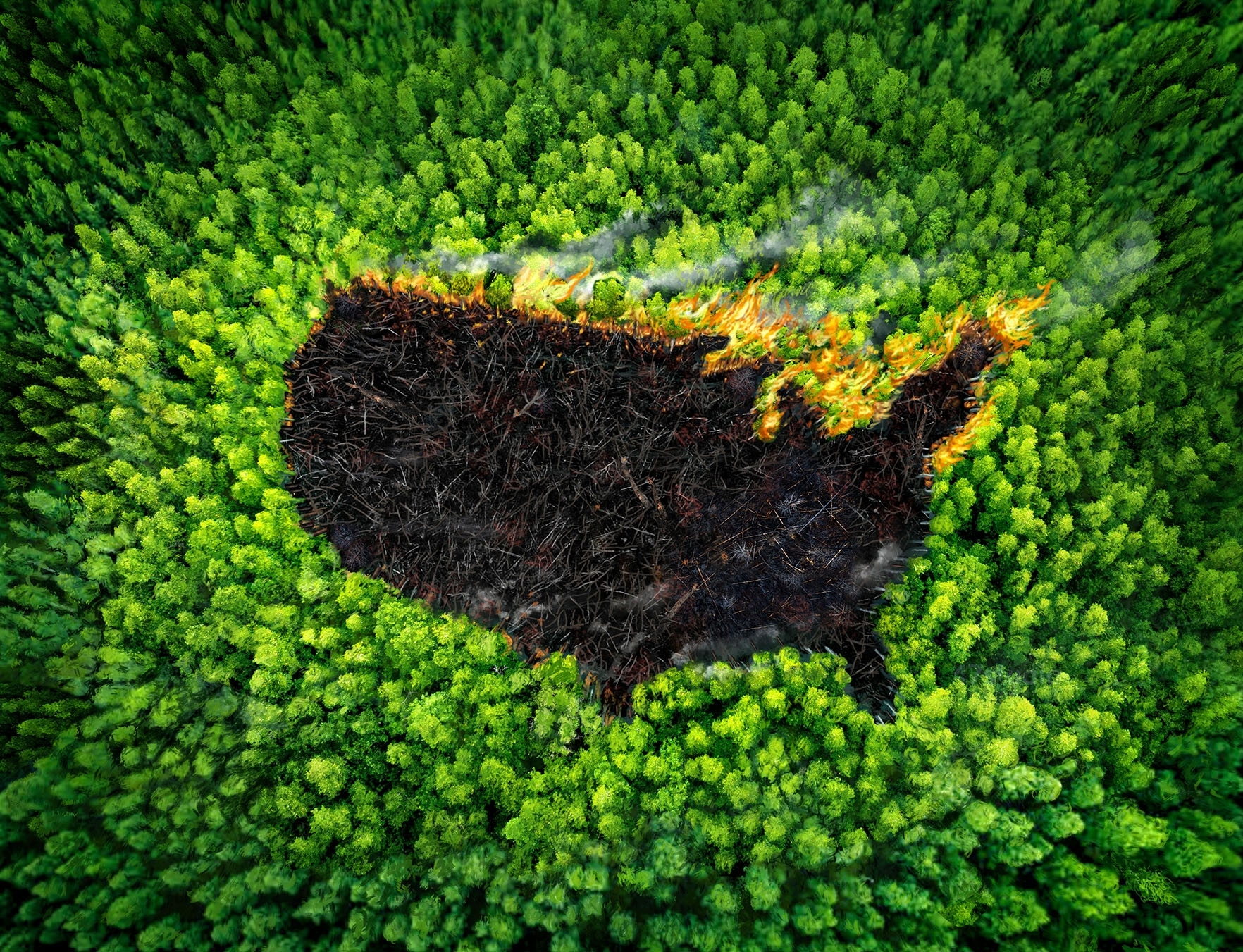 climate Firday.jpg