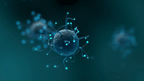 Dynamic Cell C