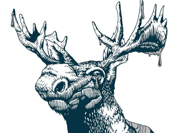 Moose Head