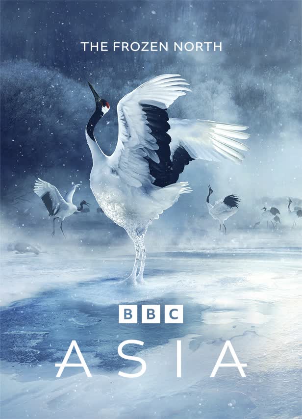 The Frozen North / BBC
