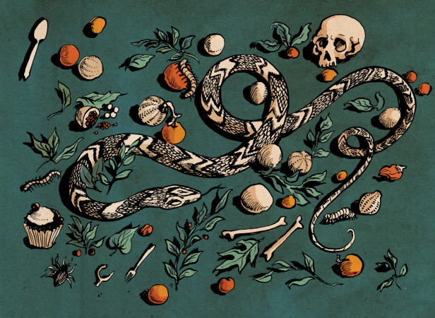 stilllife.jpg