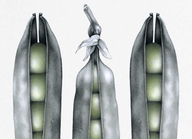 Three Peas In A Pod Green