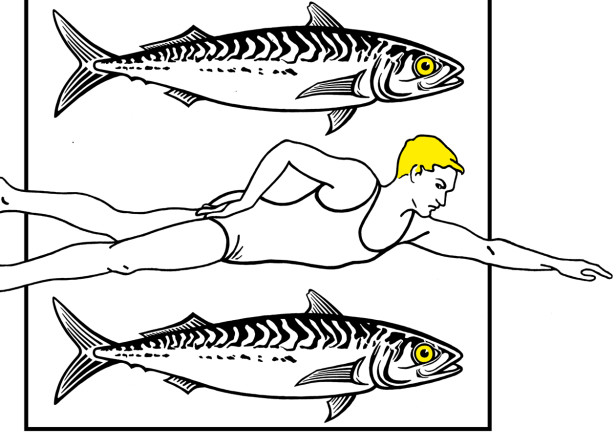 fish_and_man.jpg