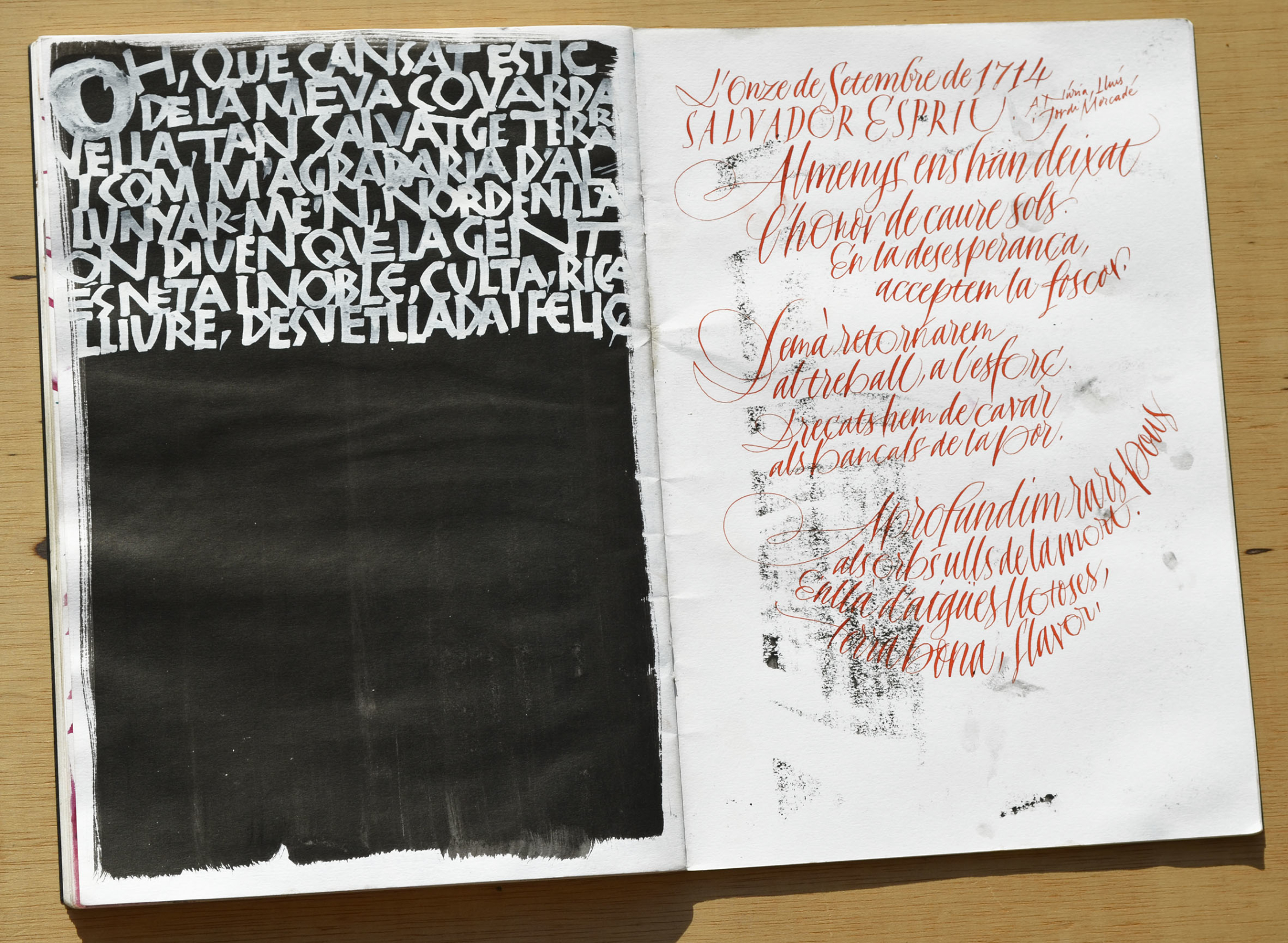 OMG - Oriol Miró i Genovart - Espriu_DSC0135 bx.jpg