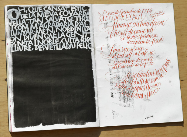 OMG - Oriol Miró i Genovart - Espriu_DSC0135 bx.jpg