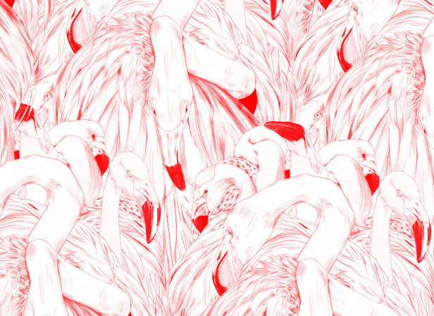 Wallpaper Flamingos