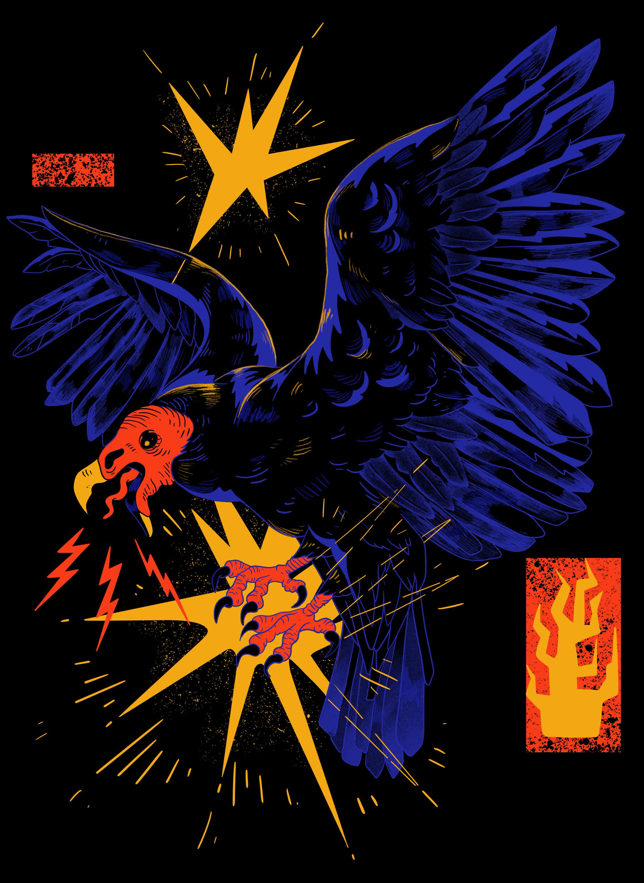 BirdCollective-TurkeyVulture.jpg