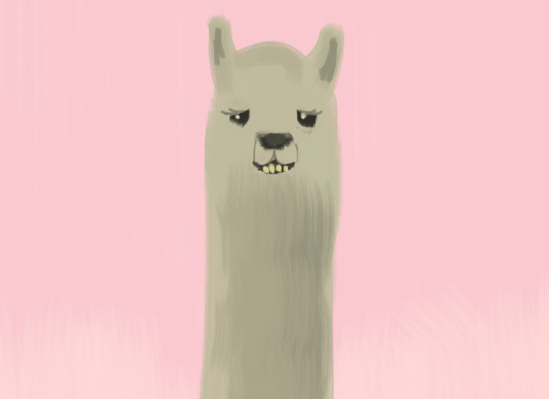 Llama