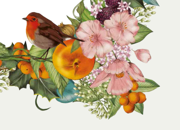 Chapter 2 The Season Fresh Food Web A Feature 1713x797px_FA.jpg
