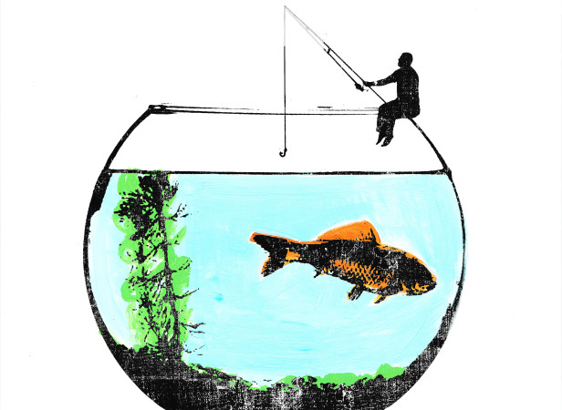 KatieEdwardsGoneFishingRoomzzz.jpg