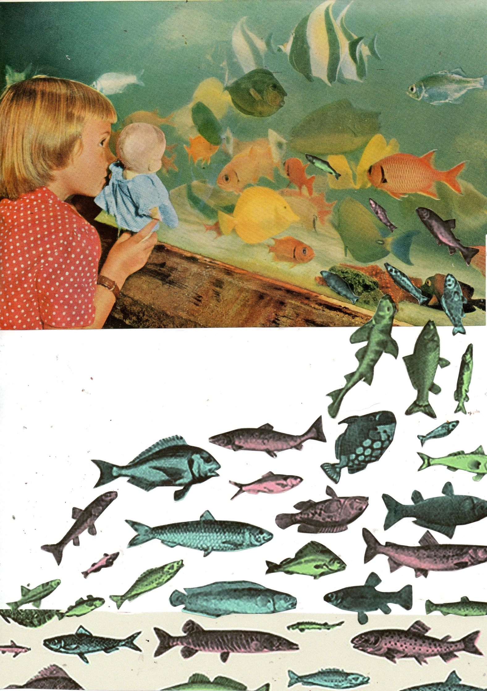 Fish 2012.jpg