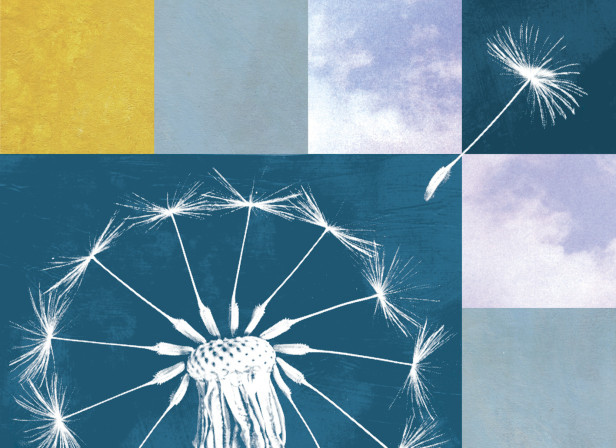 Natwest Dandelion Flight