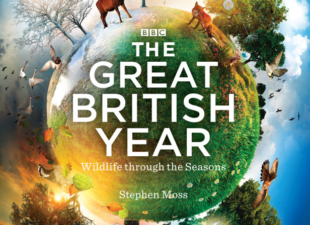 The Great British Year / BBC Books
