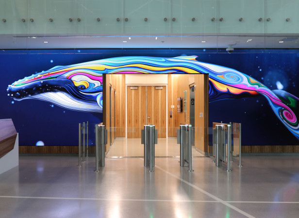Whale-Photo-Core-Studio.jpg
