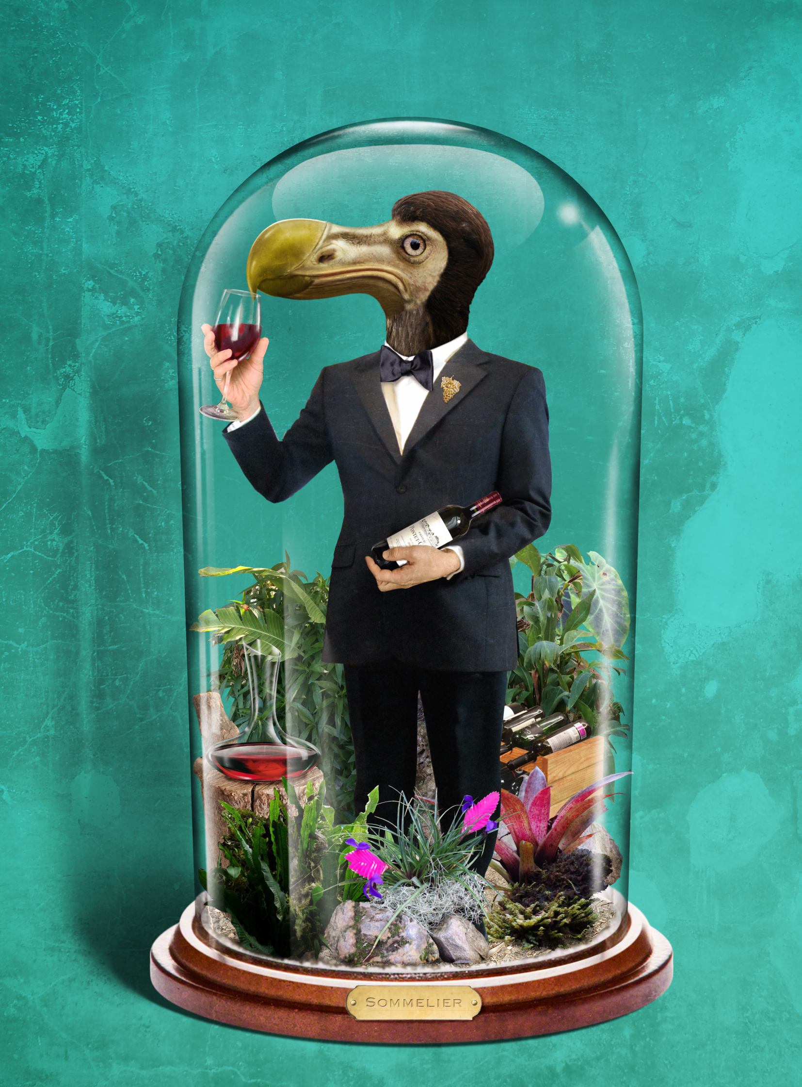 01646DodoSommelier.jpg