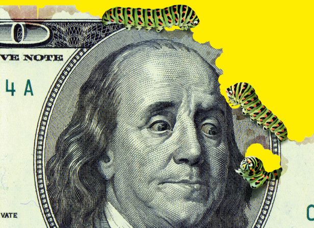 InflationCaterpillars.jpg