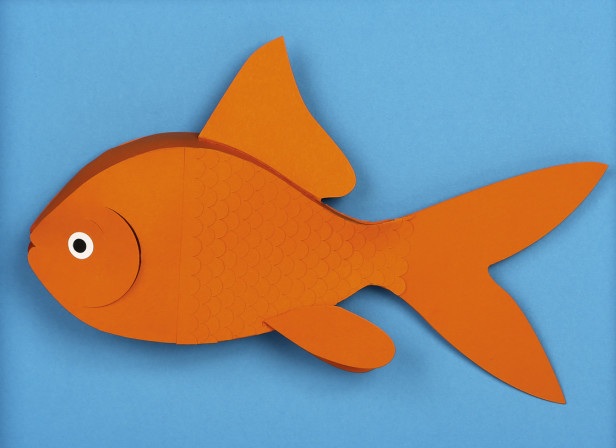 Fish / Ted Baker