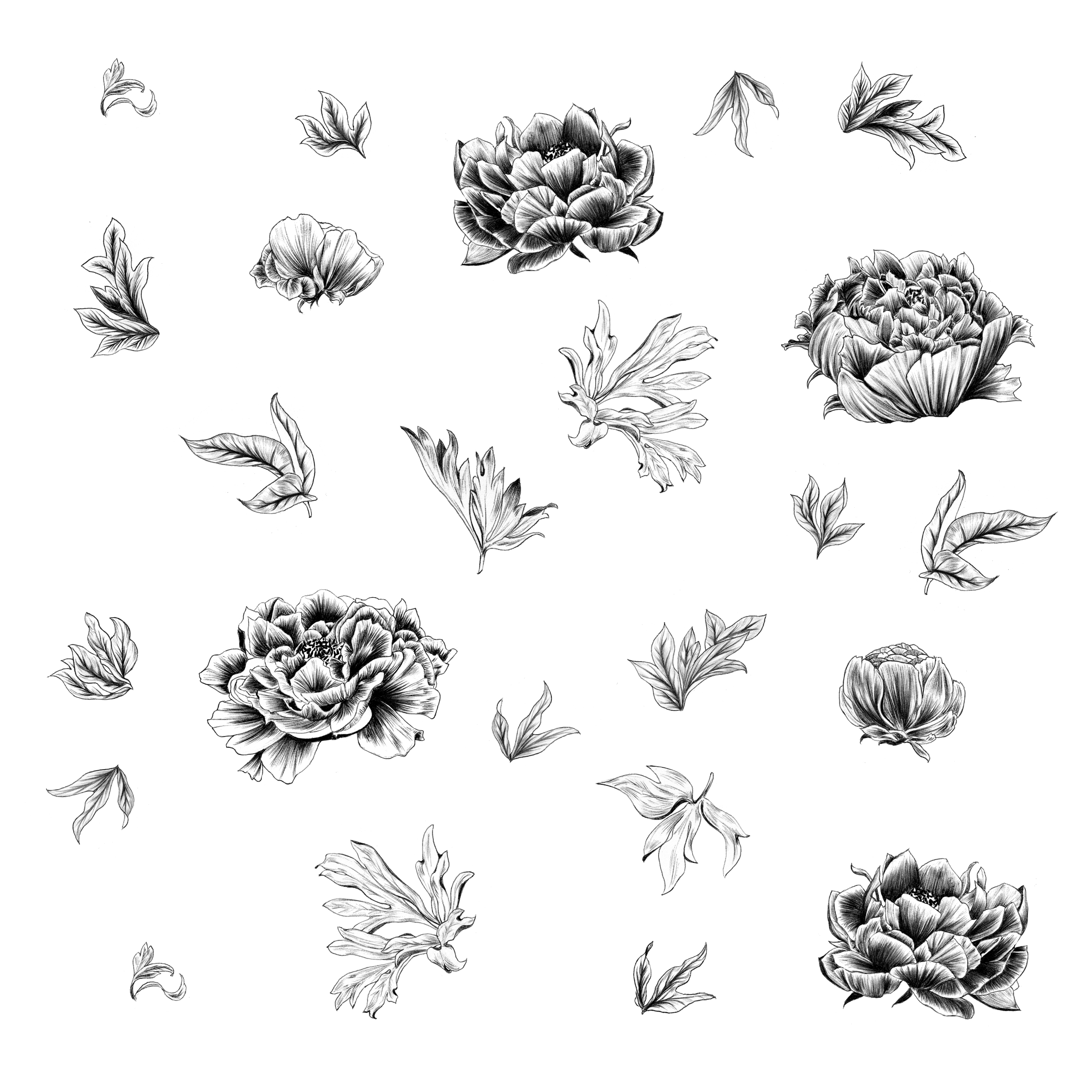 Crabtree&amp;Evelyn Wrapping paper