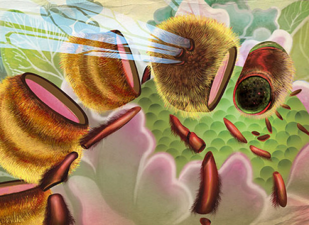 Deconstructed Bee