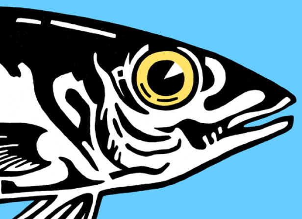 fish_out_of_water.jpg