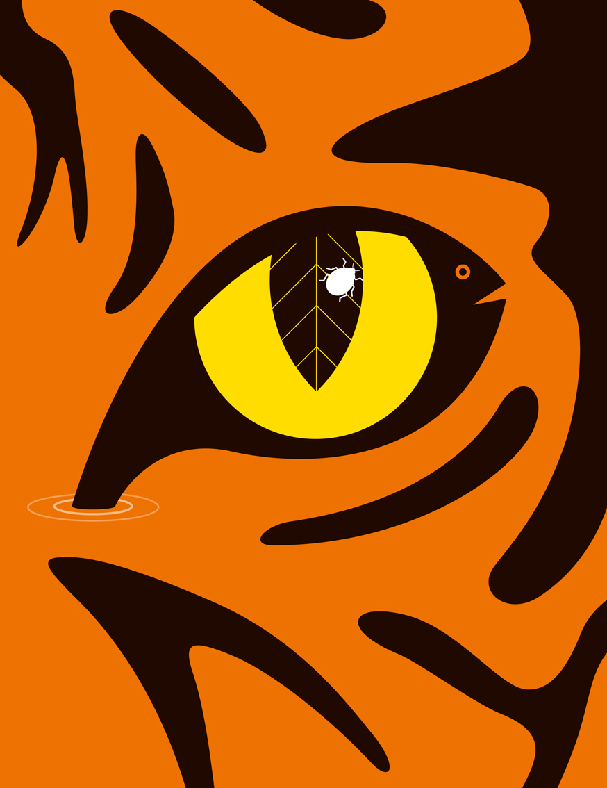 biodiversity-bbc-wildlife-magazine2.jpg