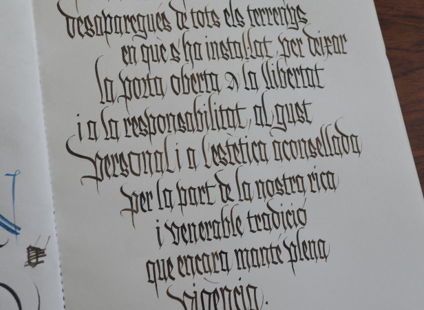 2015 8 24 Josep M. Pujol_DSC0555 bx.jpg